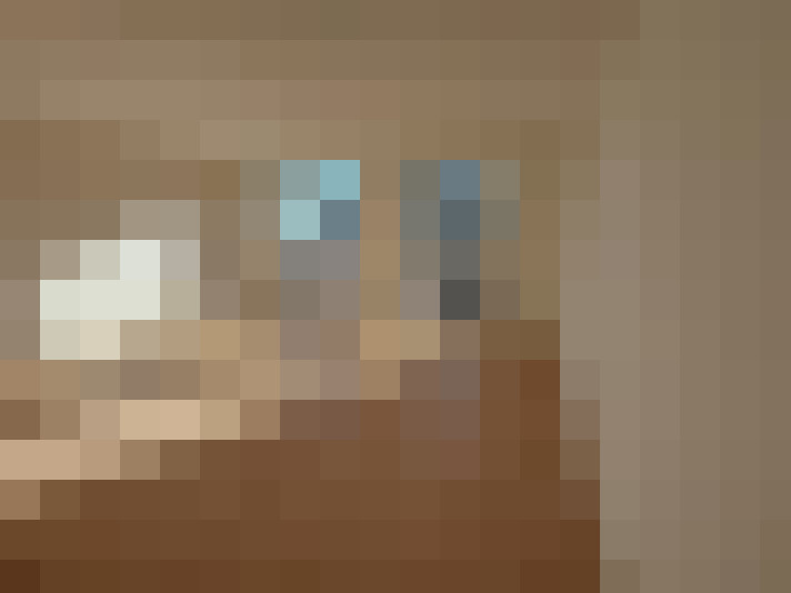  / #11