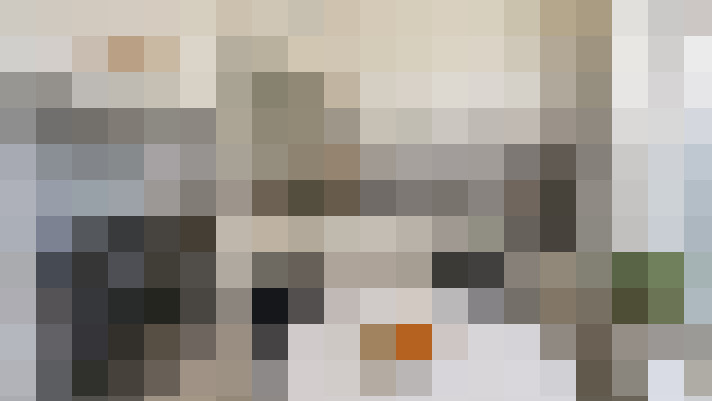  / #15