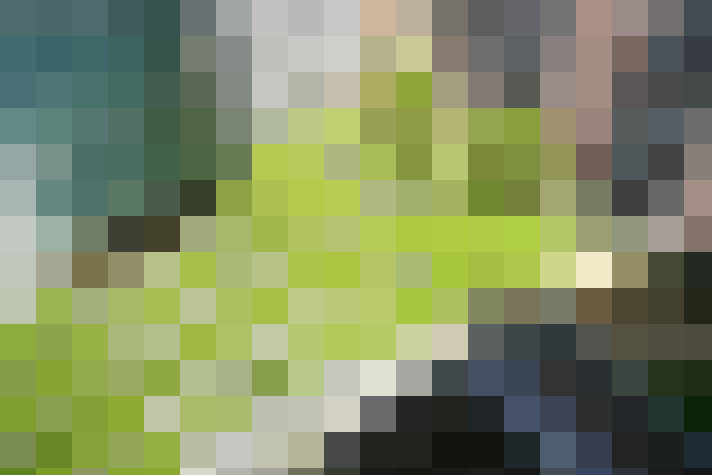 Image 40