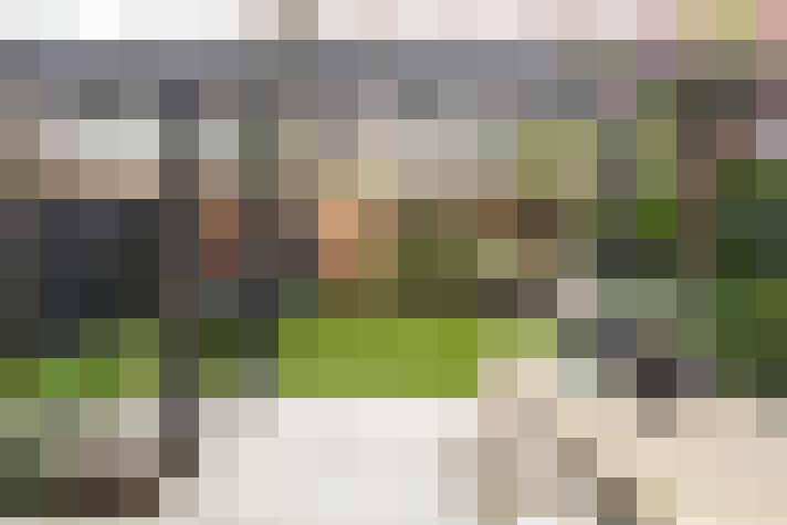 Image 17