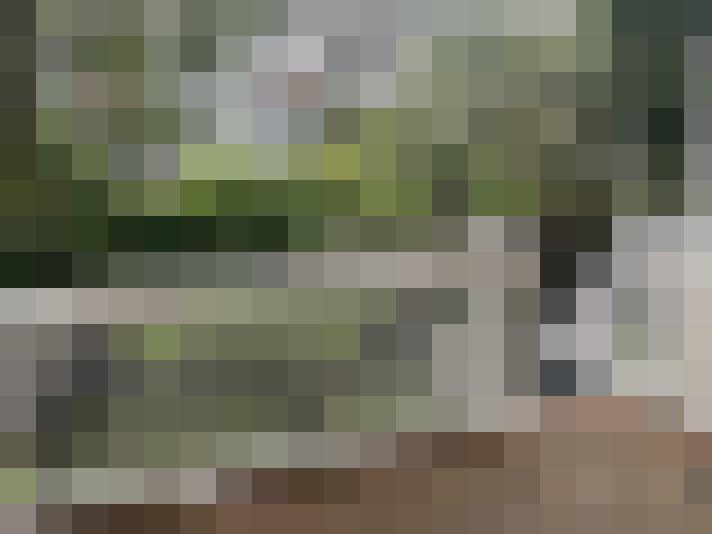 Image 15