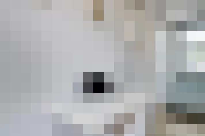 Image 40