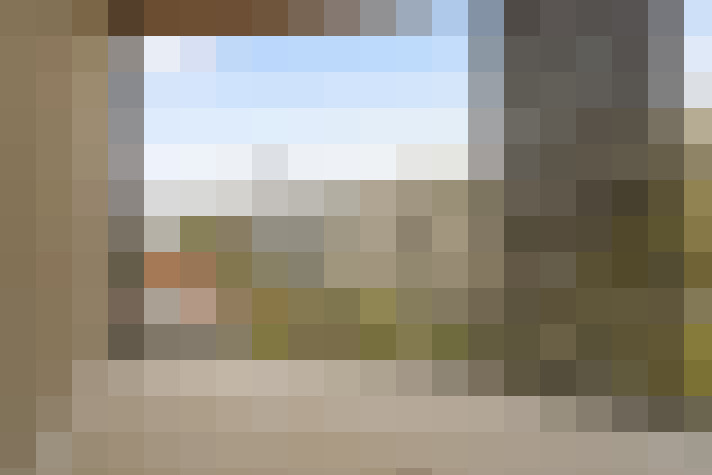 Image 66