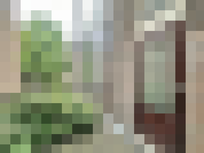 Image 17
