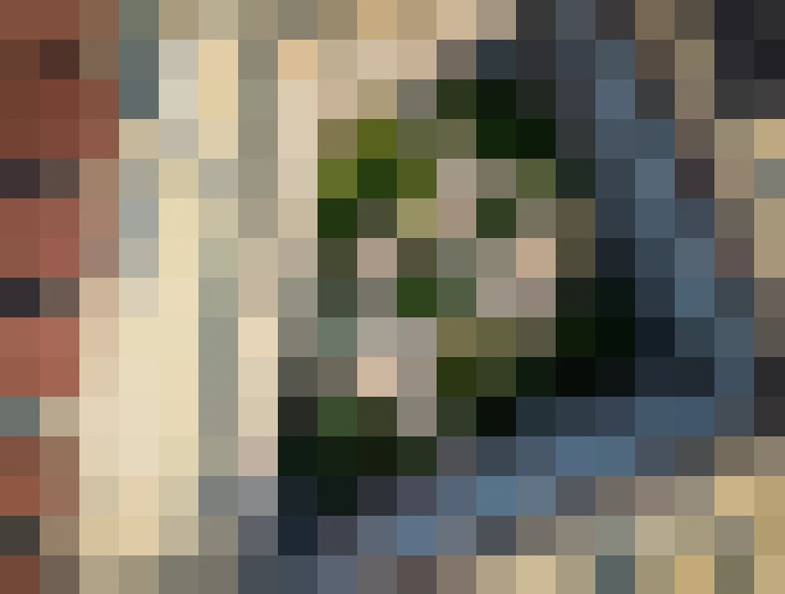 Image 14