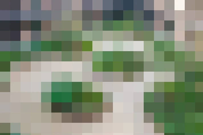 Image 15
