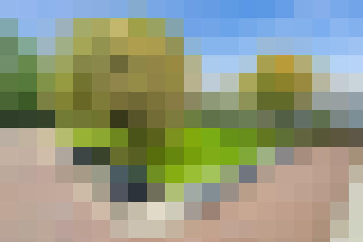  / #14