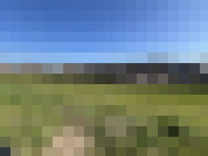 Image 26