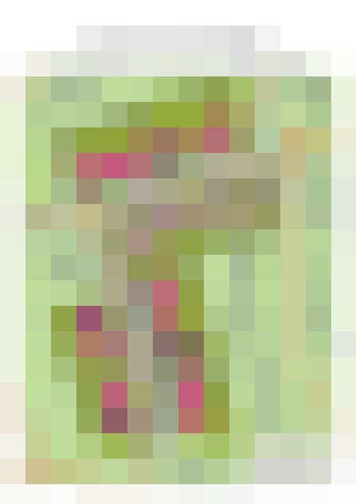  / #39
