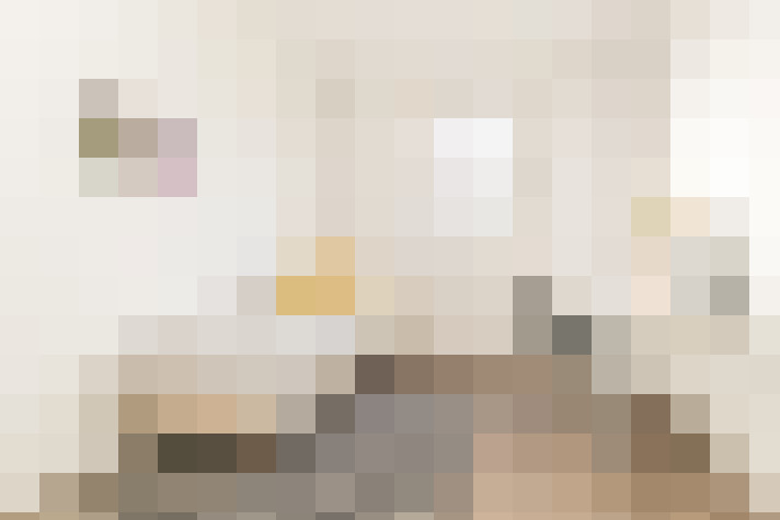  / #23