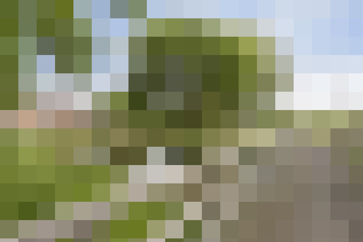 Image 26