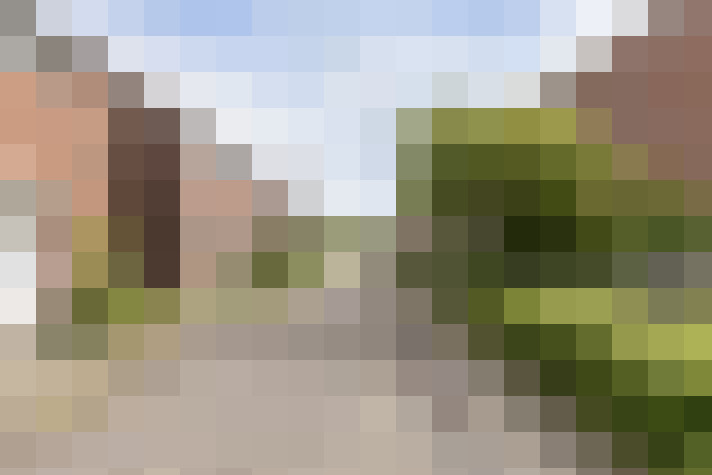 Image 29