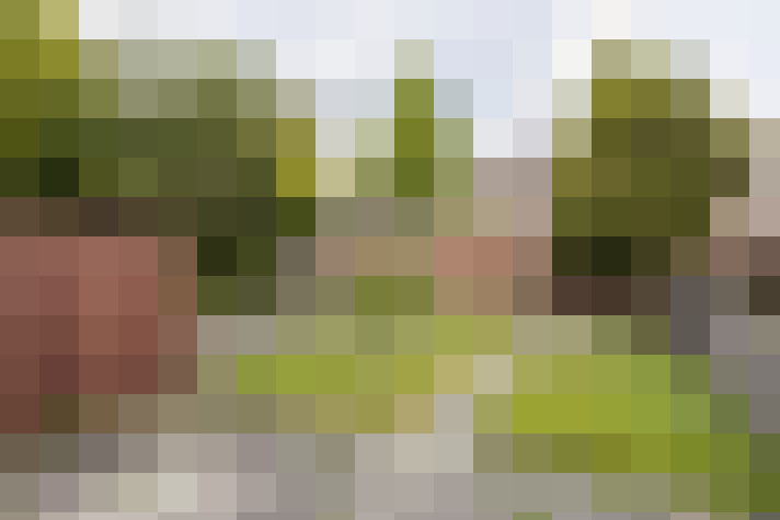 Image 23