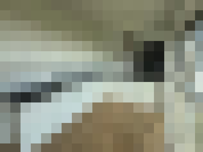  / #30