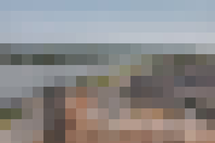 / #66