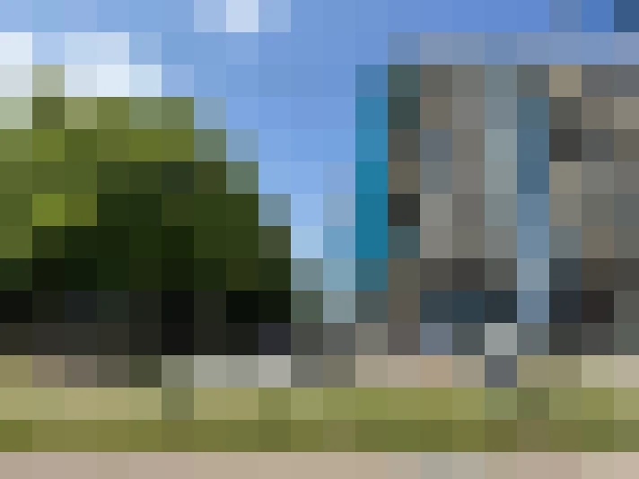Image 23