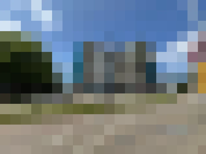 Image 21