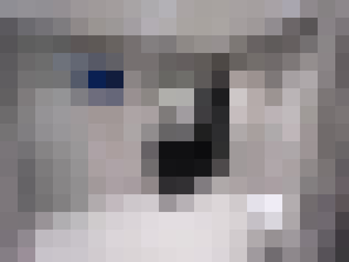  / #16