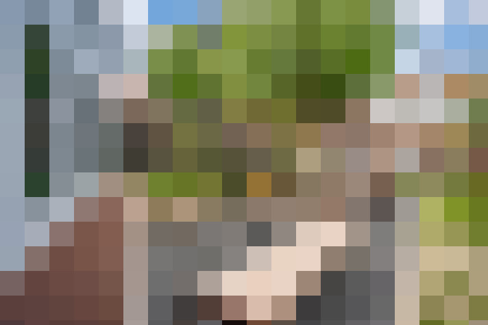 Image 26