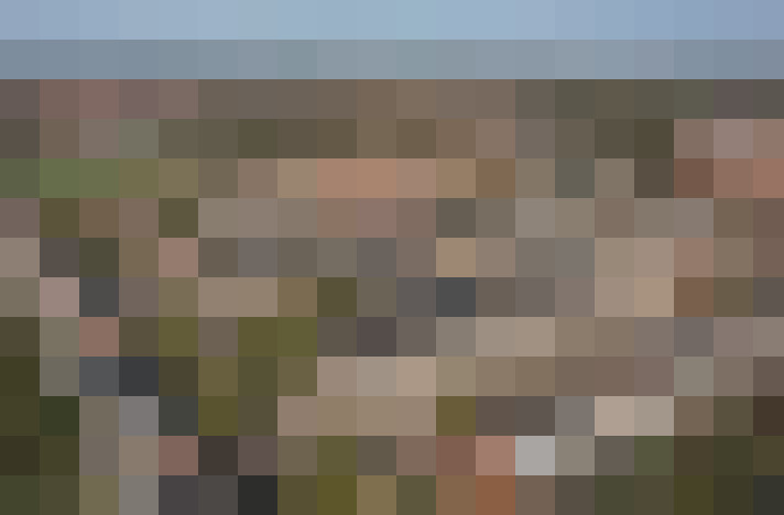 Image 29