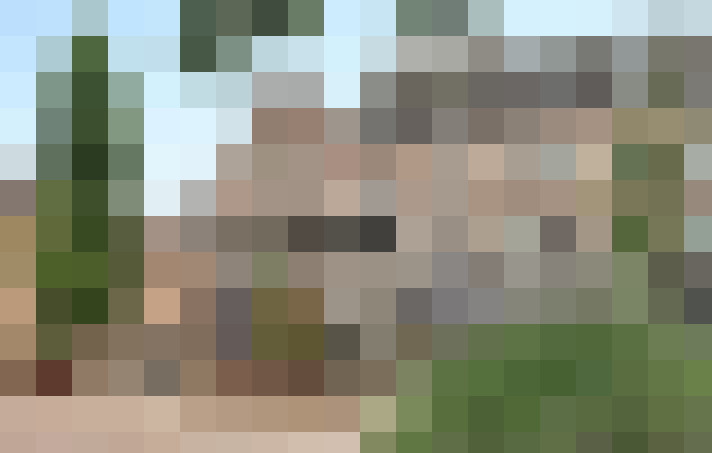Image 33