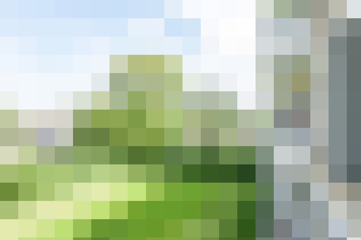  / #14