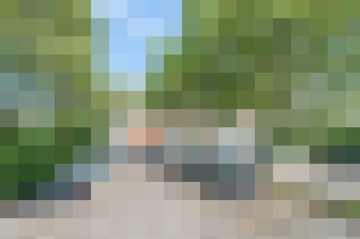  / #19