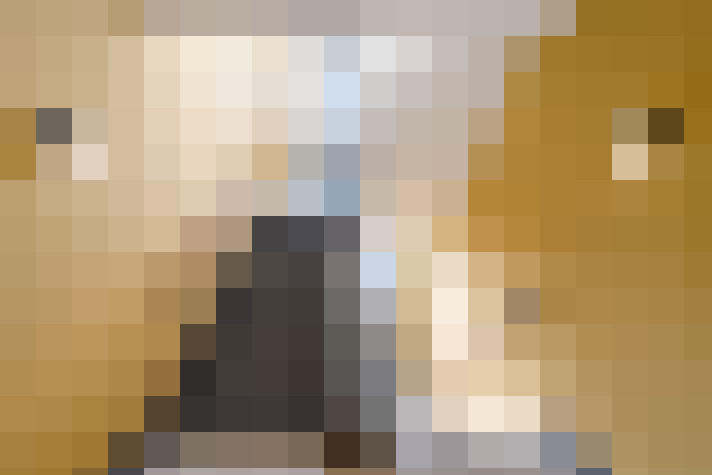 Image 37