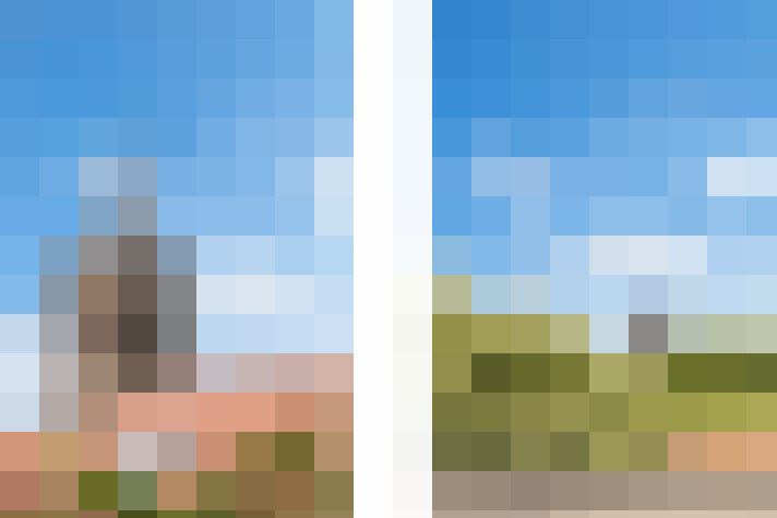 Image 20