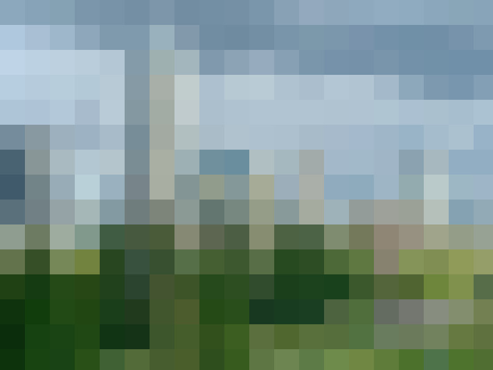 Image 23