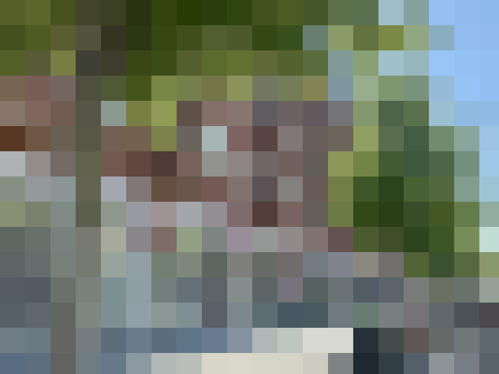 Image 17