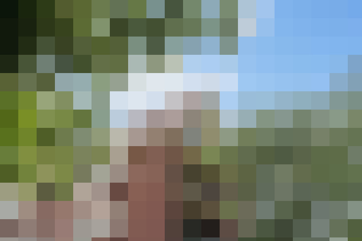 Image 32