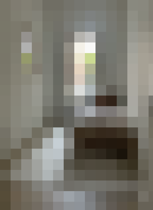 Image 34