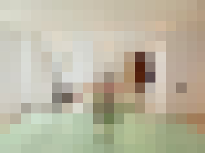 Image 30