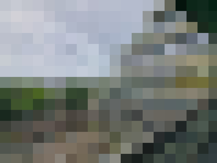 Image 22