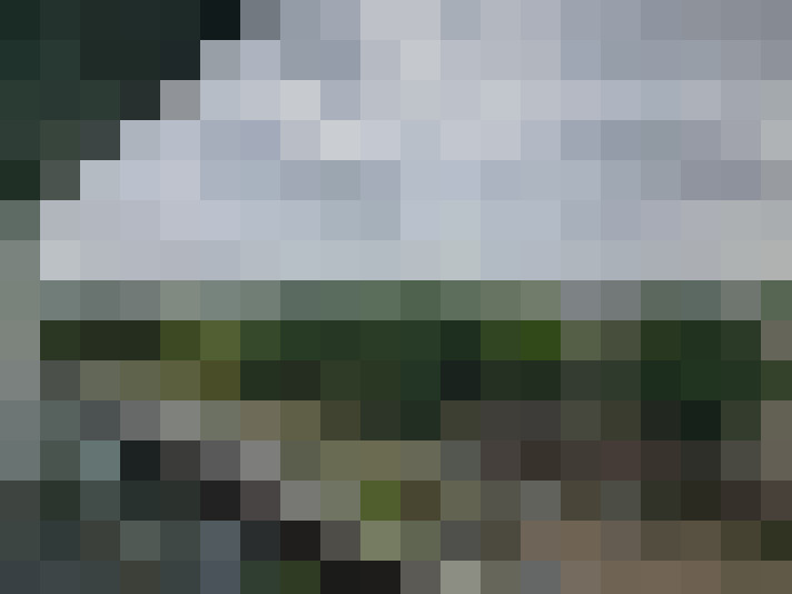 Image 23