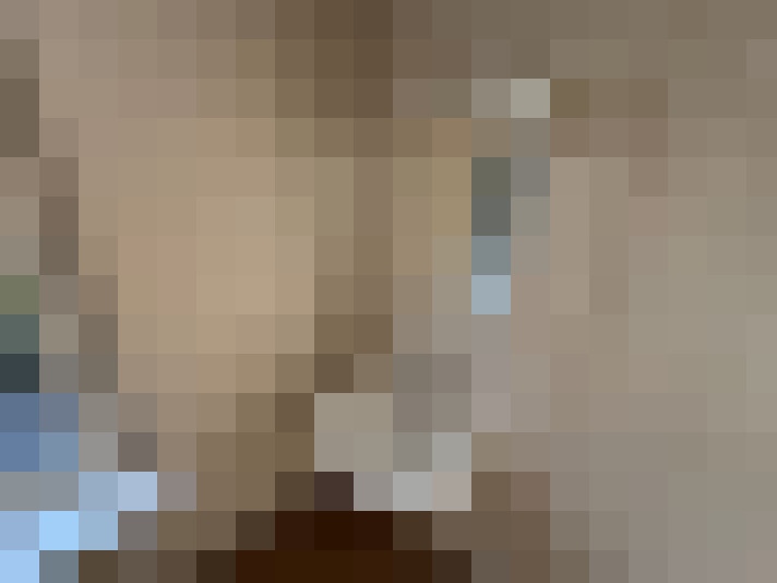  / #11