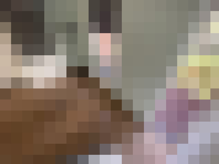 Image 40