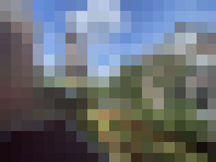 Image 59