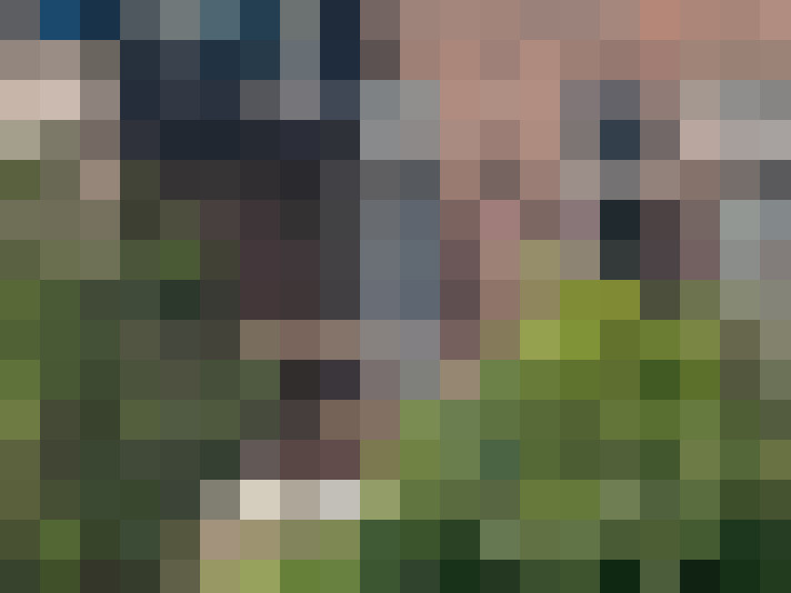 Image 80