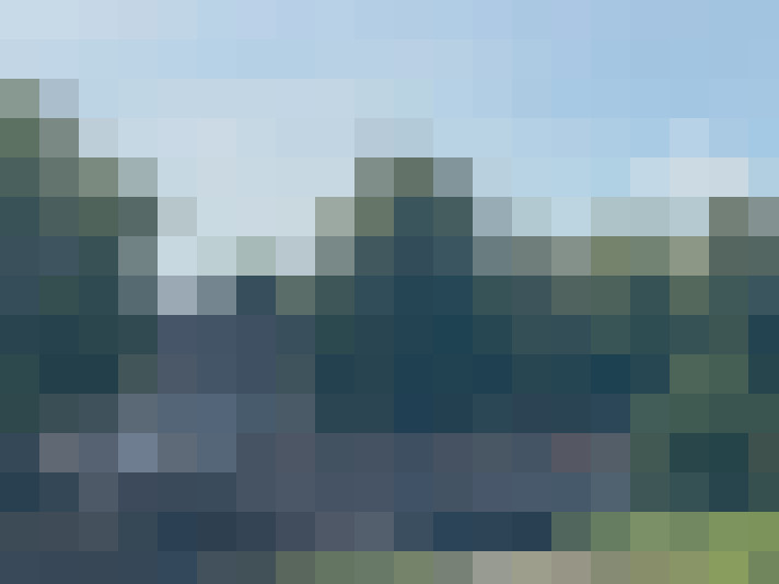 Image 81