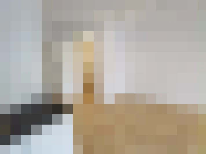 Image 20