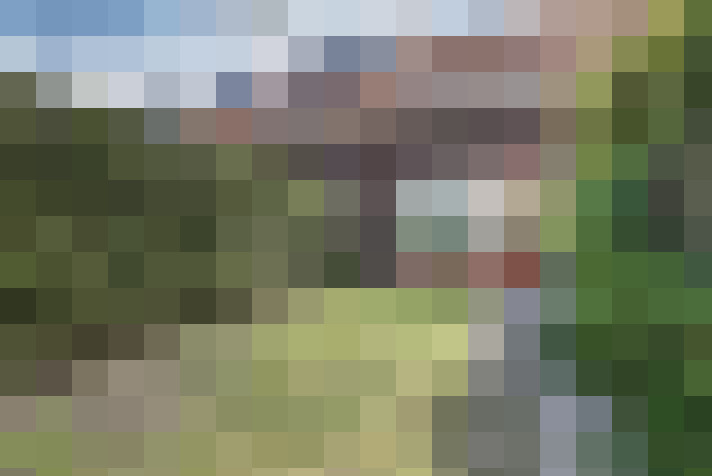 Image 43