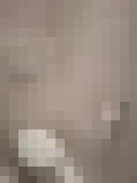 Image 40