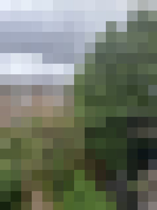 Image 44
