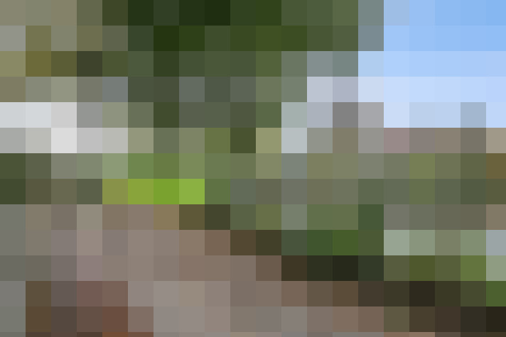 Image 42