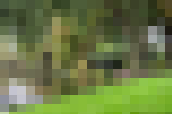 Image 41