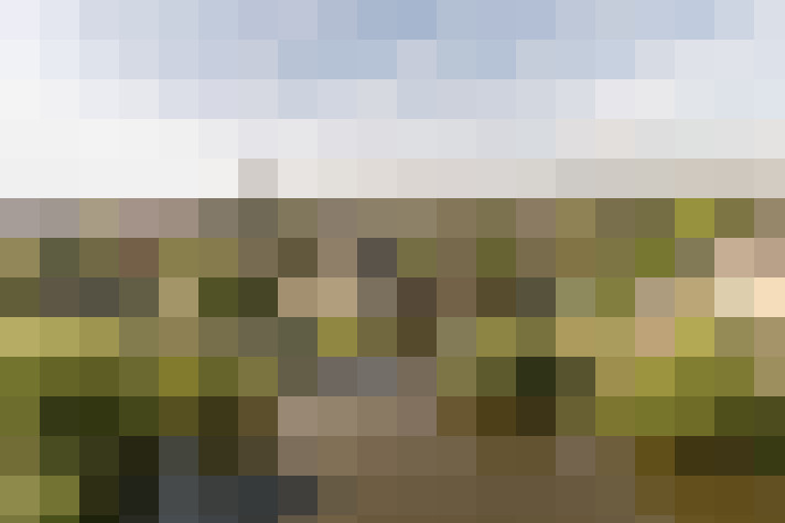 Image 29