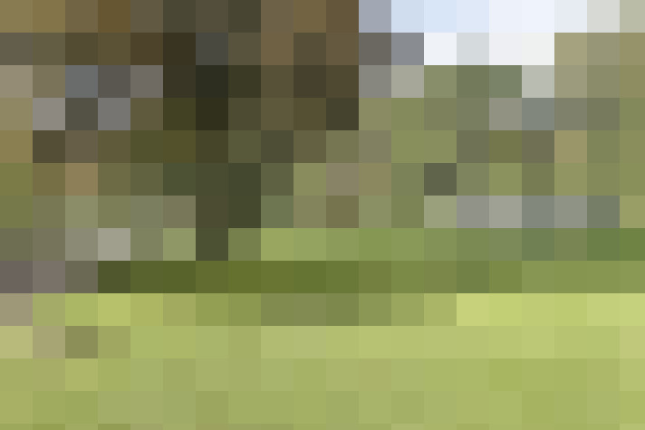Image 43