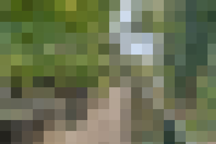 Image 40